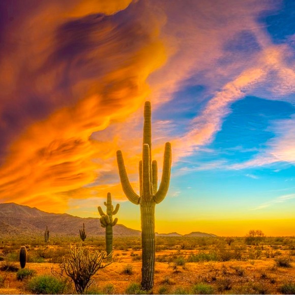 Gorgeous Nature Natural Wooden Bead Necklace Collection w Pearls, Abalone, Jute - Picture 3 of 12